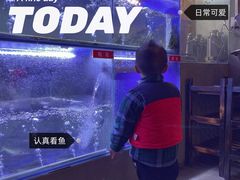 -石锅苗苗鱼(武汉首店)