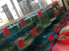 -四海蒸鲜蒸汽海鲜自助(北戴河店)