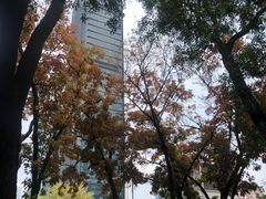-荔枝公园(福田区)