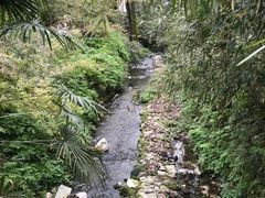 -法云安缦酒店