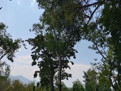 -西昌邛海湿地