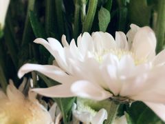 -秘密小花园(第三中学店)