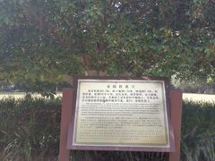 -灵谷景区
