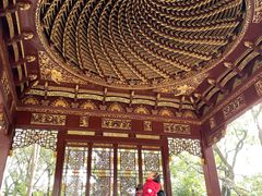 -汇龙潭