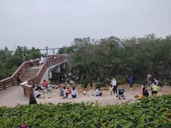 -宝安西湾红树林湿地公园