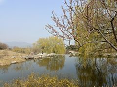 -北京西山国家森林公园