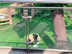-沈阳森林动物园