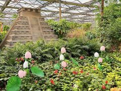 -南宫五洲植物乐园