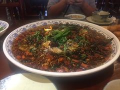杨记招牌鱼-杨记隆府(白象街店)