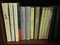 -当当梅溪书院(步步高梅溪新天地店)