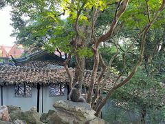 -西园戒幢律寺
