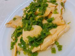 -凤城礼记鱼翅海鲜酒家(新马路总店)