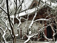-碑林公园