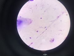 -拜鲁耶动物诊疗中心·宠家动物医院