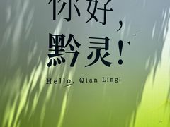 -黔灵山公园