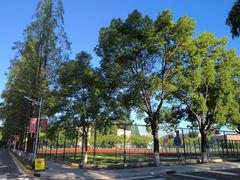 -同济大学(沪西校区)