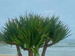 -红月湾海鲜饭店•沙滩海景(双月湾店)