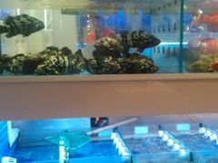 海鲜池-金苑海鲜酒家(来魅力店)