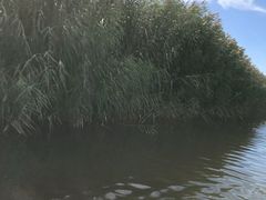 -乌梁素海景区