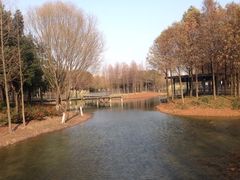 -尚贤河湿地