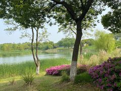 -贡湖湾湿地公园