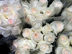 -循礼门鲜花花市(武汉循礼门店)