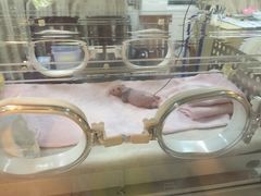 iphone_upload_pic-成都大熊猫繁育研究基地