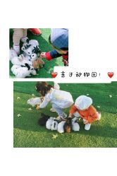 -萌宠亲子动物乐园(槐房万达店)