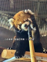 -Zoolung Zoolung动物主题公园(海信广场店)