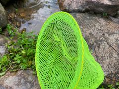 -广州白江湖森林公园