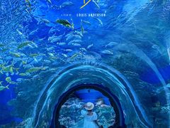 -海合安成都极地海洋公园