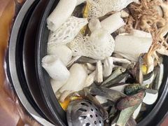 -菌之家·专业纯野生菌火锅·特色炒菌