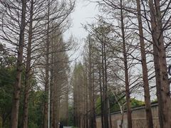 -白马涧龙池景区