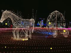 -河北省第三届（邢台园博园）园林博览会
