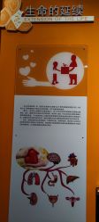 -北京科学中心儿童乐园
