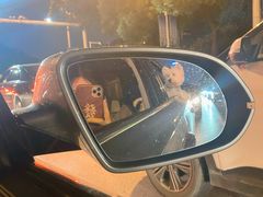 -汪星球宠物生活馆