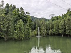 -广州市帽峰山景区