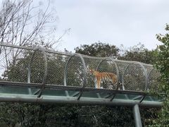 -宁波野生动物园