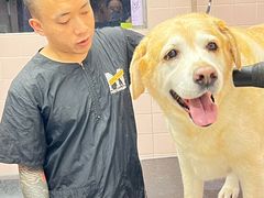 -FAELING PETS美天灵宠物(富力广场店)