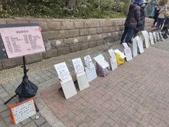 -人民公园-相亲角