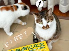 -山姆会员商店(邻瑞广场店)