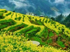 -婺源风景区