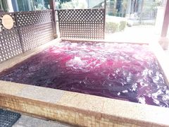 -春晖园度假酒店温泉