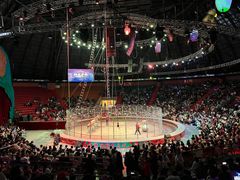 -俄罗斯国家大马戏团