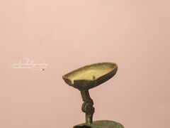 -昆明市博物馆(昆明市文物保护和考古研究中心)
