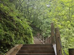 -瓦屋山景区