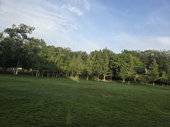 -滨湖塘西河公园