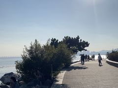 -深圳湾公园(南山区)