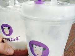 -一只酸奶牛(八一路店)