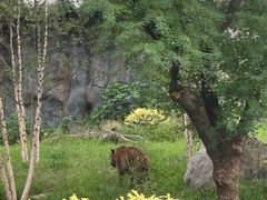-武汉动物园